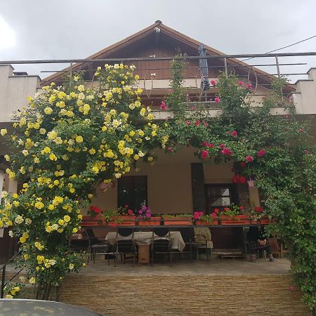 Hotel Casa Delia Călimăneşti Exterior foto