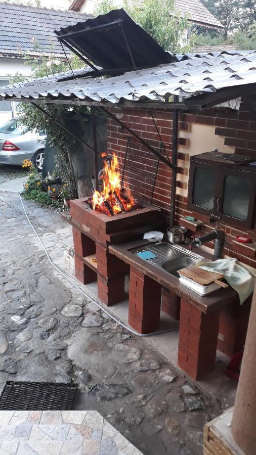 Hotel Casa Delia Călimăneşti Exterior foto