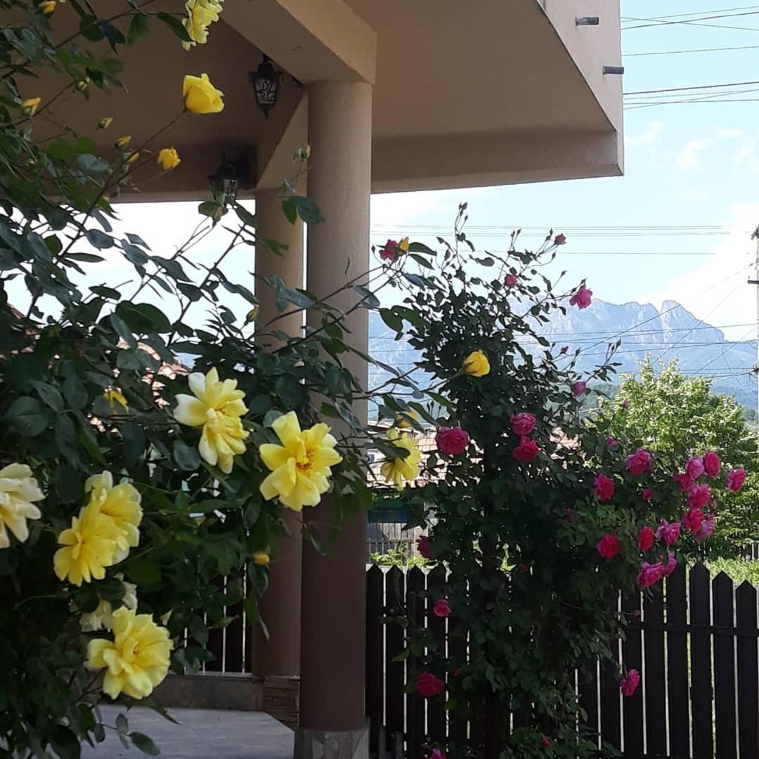 Hotel Casa Delia Călimăneşti Exterior foto
